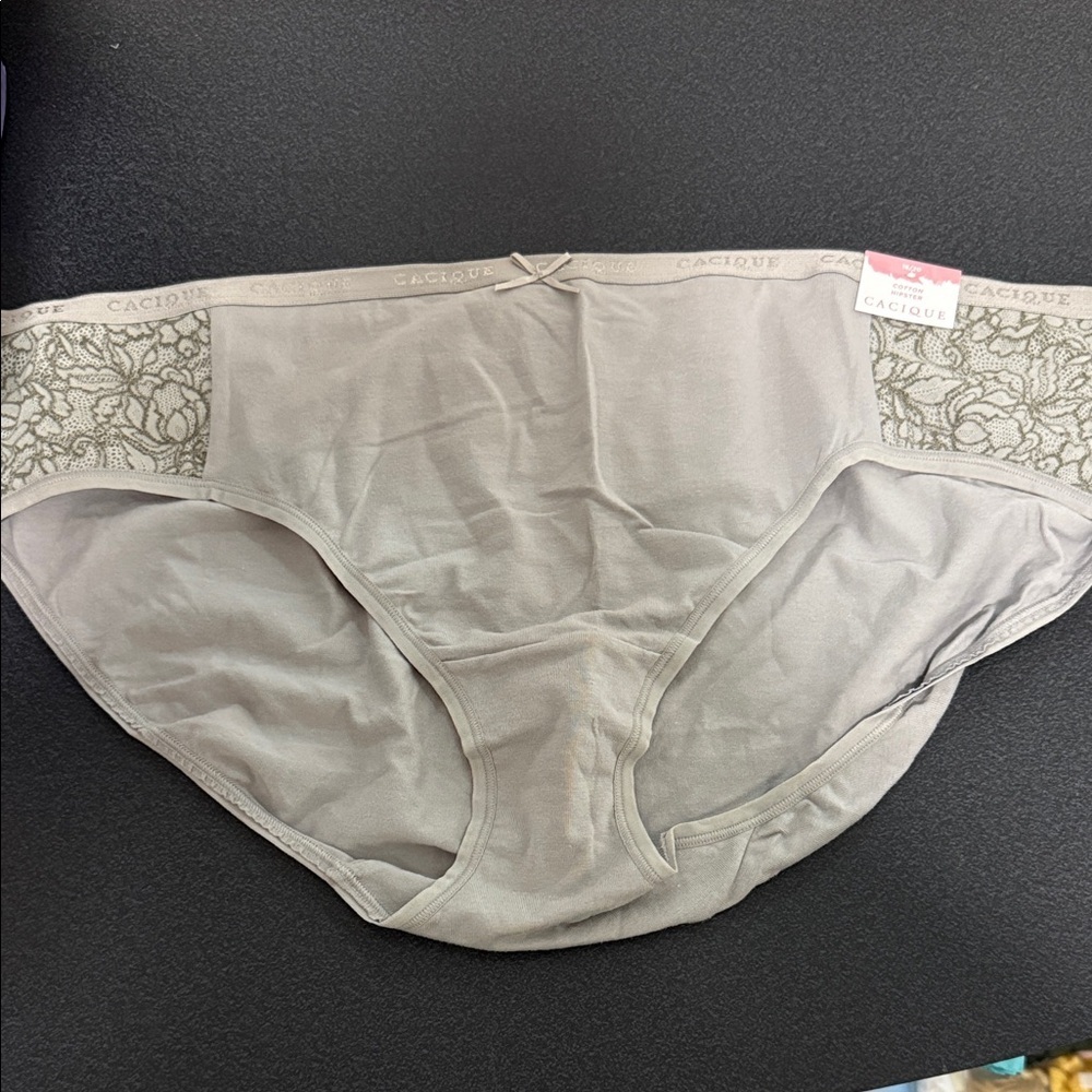 Cacique Taupe Lace-Trim Full Coverage Panty